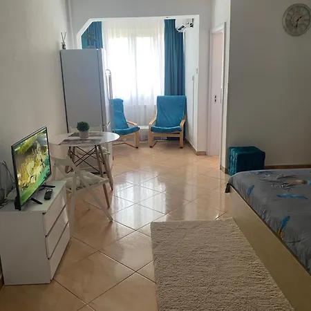 Διαμέρισμα Garsoniera 552 *